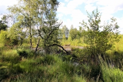 steinhude_20160712_08