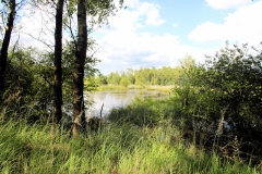 steinhude_20160712_11