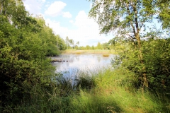 steinhude_20160712_12