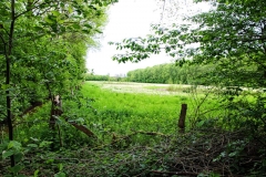wunstorfer-moor-20170516_04