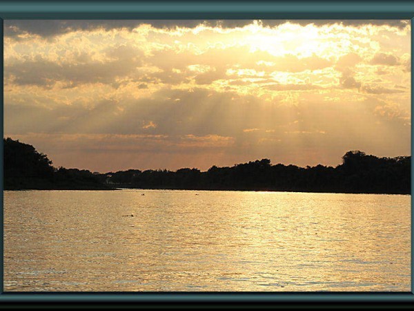 Pantanal bei Porto Jofré