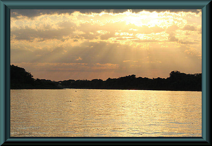 Pantanal bei Porto Jofré