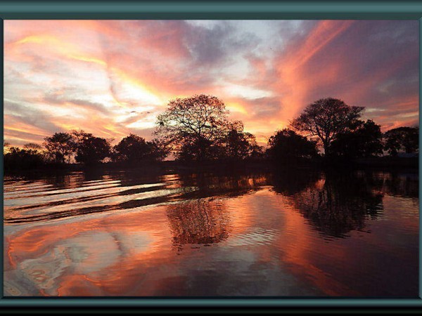 Pantanal – Rio Claro