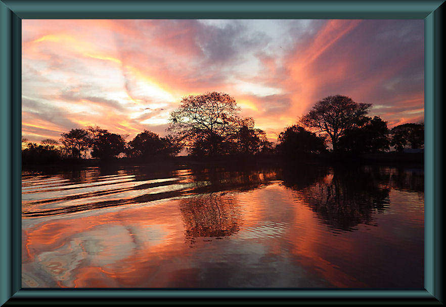 Pantanal – Rio Claro