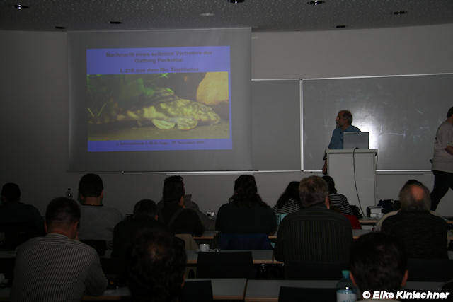 1. Internationale L-Wels-Tage - Wolfgang Heinrichs