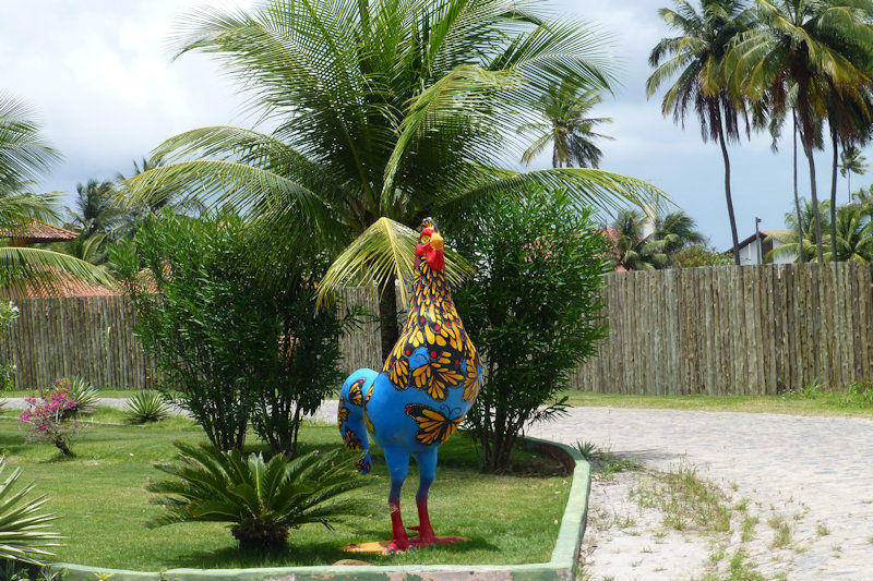 Porto do Galinhas