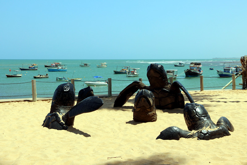 Praia do Forte - Projeto Tamar