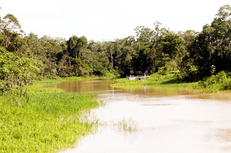 Rio Carapanatuba