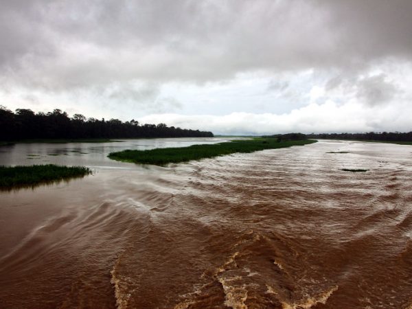 Rio Panapuã