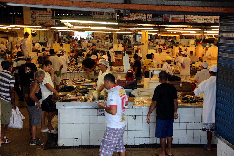 Fischmarkt in Manaus