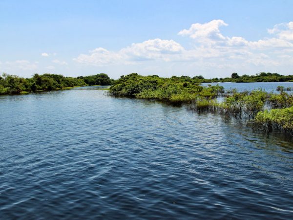 Lago Janauacá