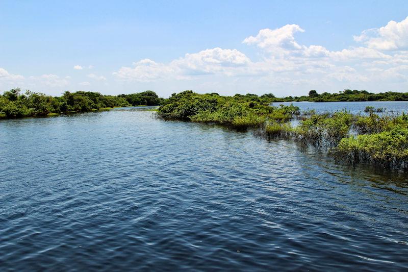 Lago Janauacá