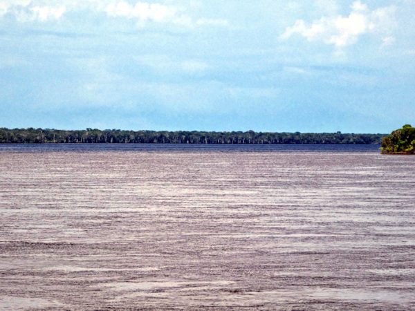 Zusammenfluss Rio Negro - Rio Branco