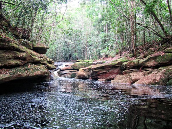 Igarapé Preto