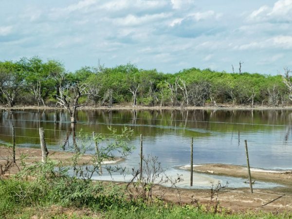 Salzsee im Gran Chaco