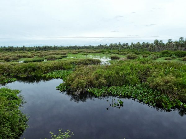 Río Negro bei Concepción