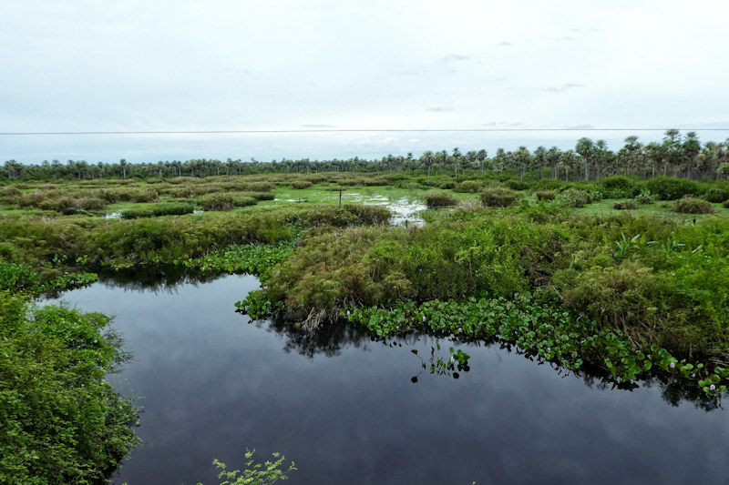 Río Negro bei Concepción